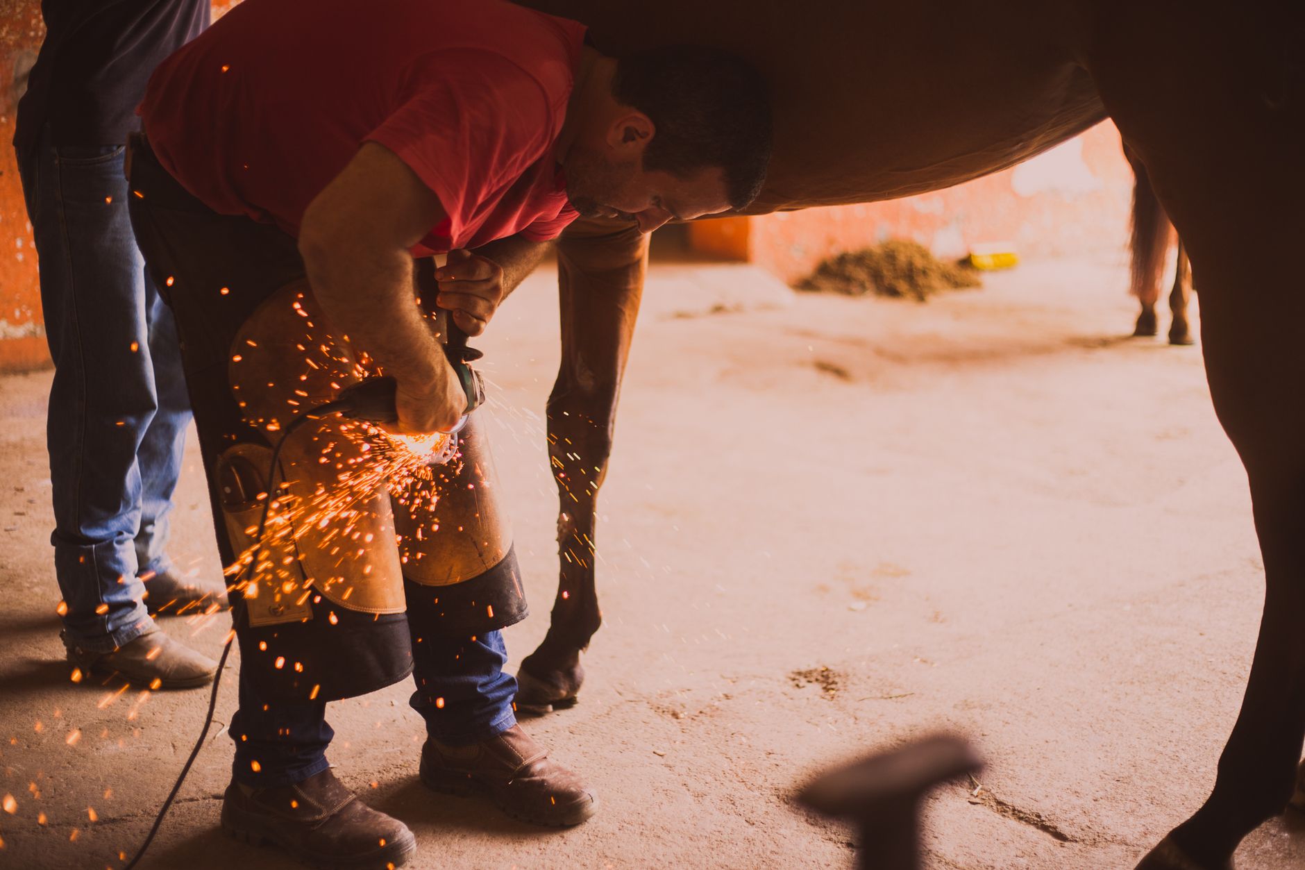 A farrier shoeing a horse