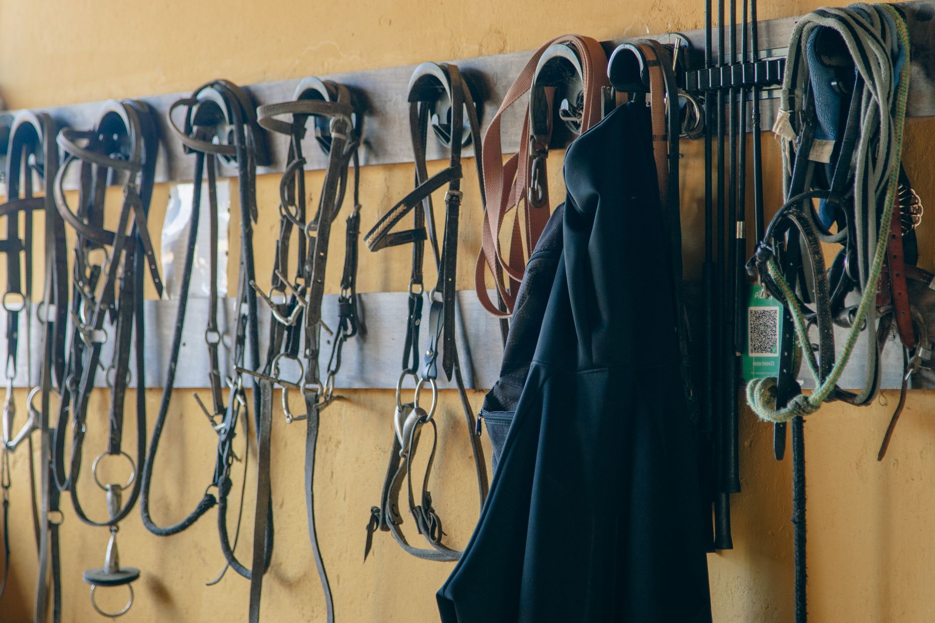 Tack hanging in a tack room